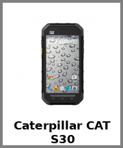 Caterpillar CAT S30
